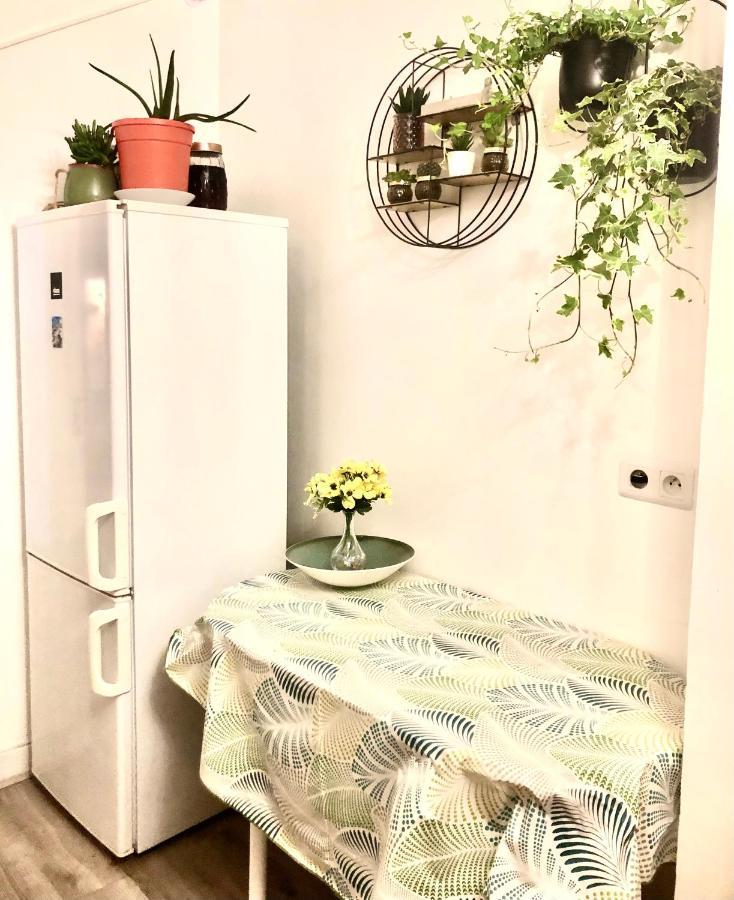 Room With Balcon 20 Minutes From Eiffel Tower ショワジー・ル・ロワ エクステリア 写真